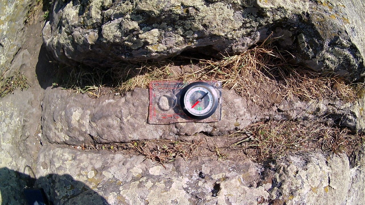 31