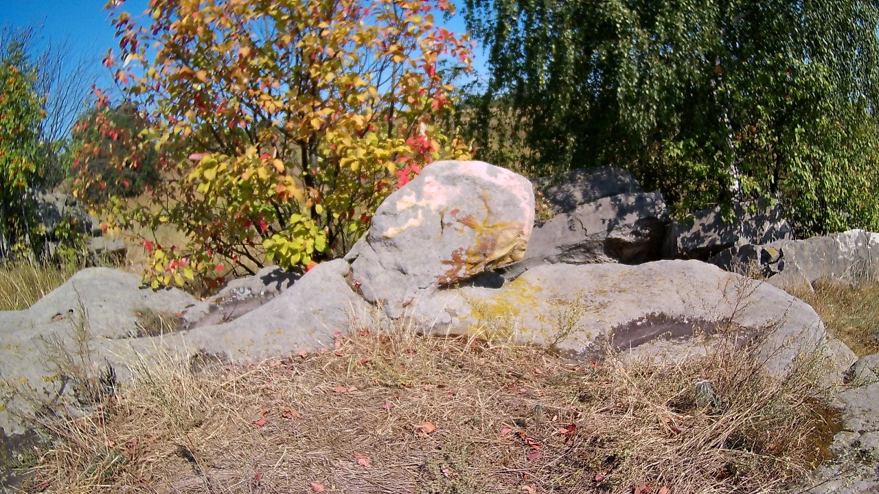 80