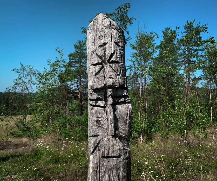 33