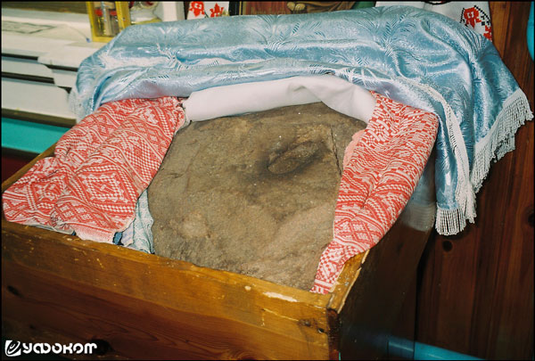 46