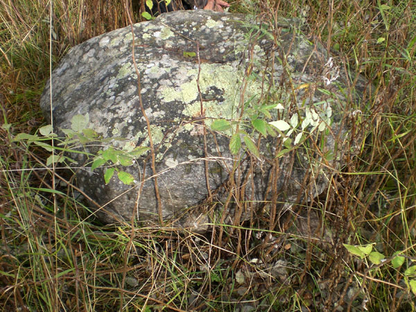 210716 olkhovka14