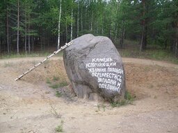 54