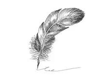 pioro gesie