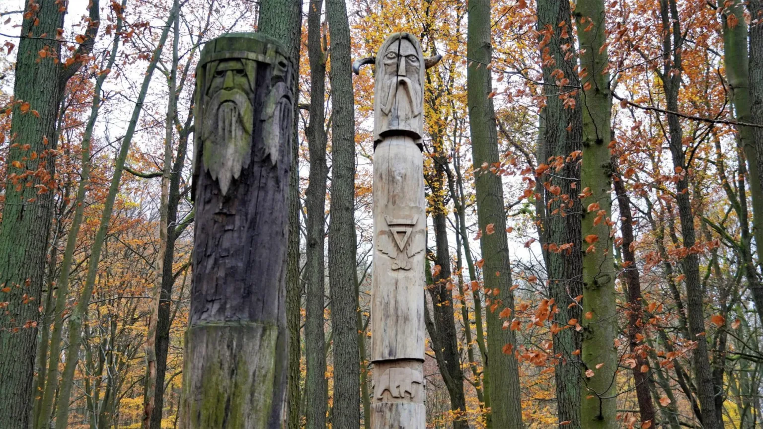 drewniane totemy wcielen welesa tryglawa puszcza bukowa szczecin scaled